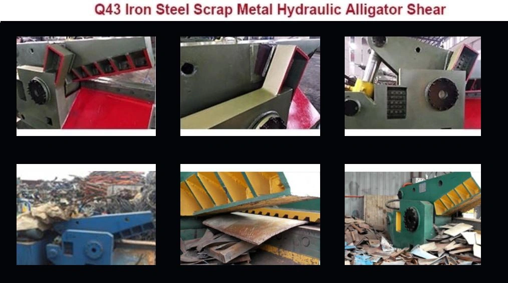 Hydraulic Scrap Metal Alligator Shear for Scrap Aluminum Automatic Easy Operation for Sale